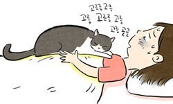  31화 사려깊은 고양이