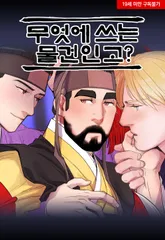 무엇에 쓰는 물건인고? -외전4-